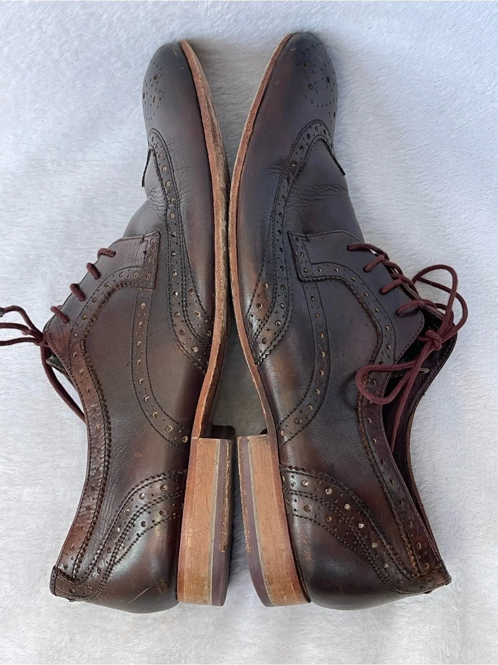 Ted Baker Gryene Derby Brown Wingtip Dress Shoes Business Classic Preppy Office